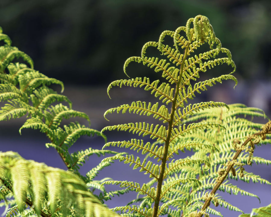 Freestanding Art Piece